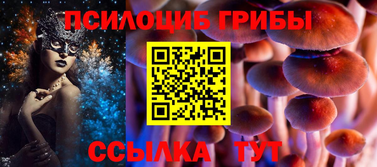 Псилоцибиновые грибы Magic Shrooms Нижнекамск