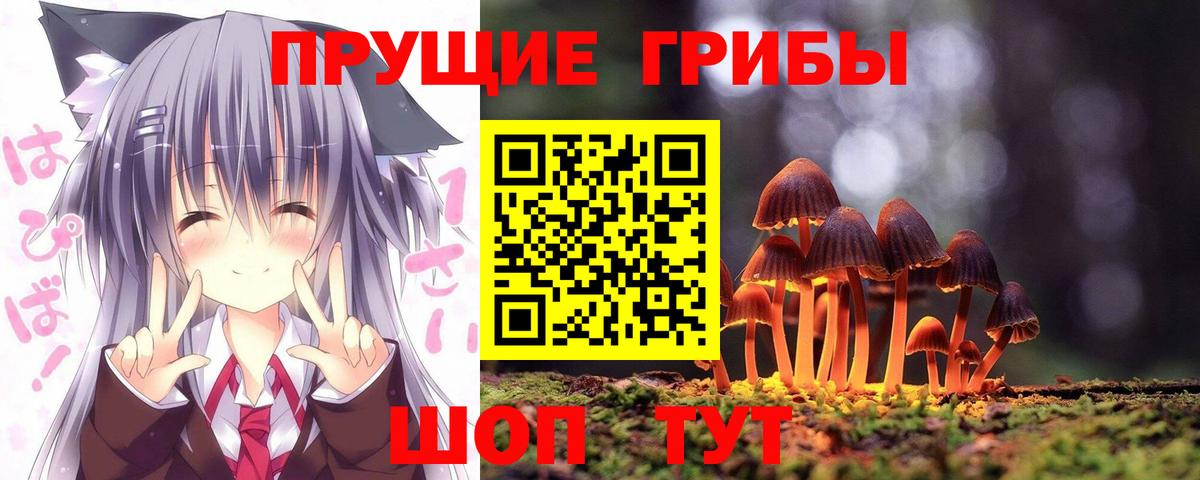 Псилоцибиновые грибы мицелий  Псилоцибиновые грибы прущие грибы  Нижнекамск  Вход с VPN 